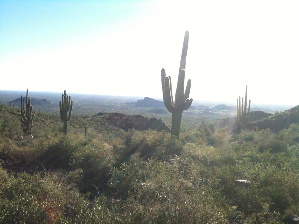 Arizona Desert Skies....jpg